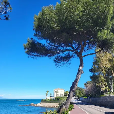 Amaryllis 3p Proche Plage, Clim Antibes